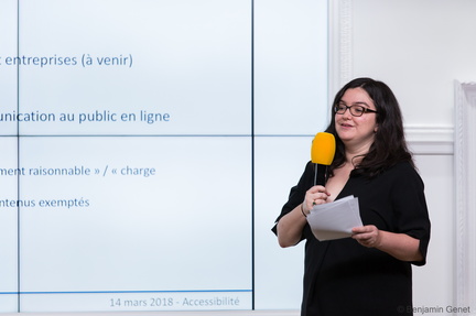 Maud Choquet, DINSIC