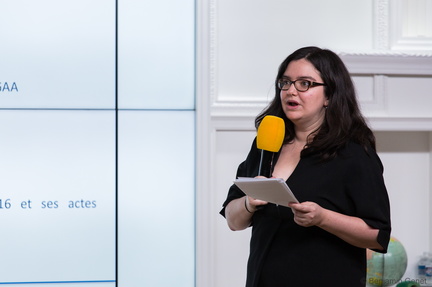 Maud Choquet, DINSIC