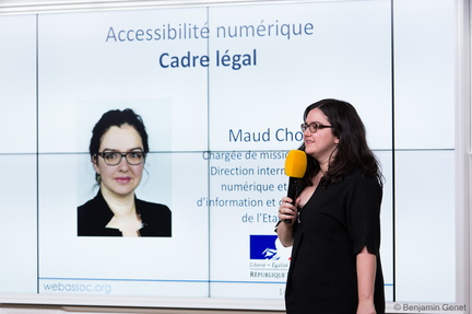 Maud Choquet, DINSIC